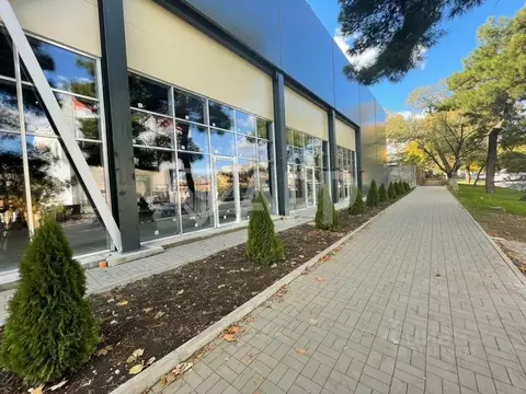 Помещение свободного назначения в Краснодарский край, Новороссийск ул. ...