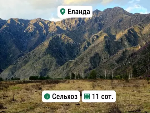 Участок в Алтай, Чемальский район, с. Еланда Новая ул. (11.1 сот.)