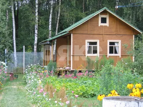 Участок в Москва д. Новогромово, Хуторок СНТ, 5 (6.76 сот.)