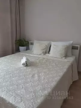 Студия Кировская область, Киров ул. Современная, 2 (34.0 м)