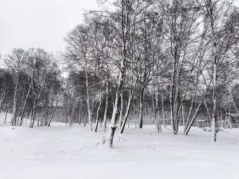 Участок в Московская область, Дмитровский муниципальный округ, д. ...