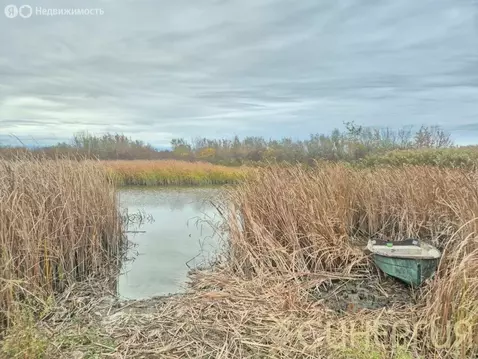 Участок в Обуховка, Береговая улица (6 м)