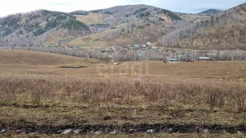 Участок в Бирюля, Таркольская улица (12.45 м)