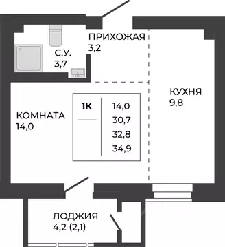 1-к кв. Алтайский край, Барнаул тракт Павловский, 251Б (32.8 м)