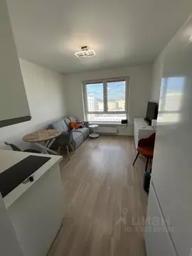 Студия Москва ул. Римского-Корсакова, 11к4 (22.0 м)