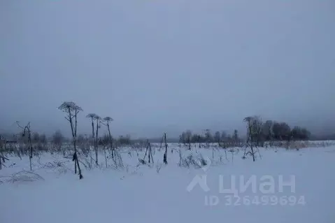 Участок в Московская область, Шаховская муниципальный округ, д. ...