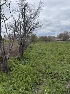 Участок в Трудовское сельское поселение, село Ивановка, ...
