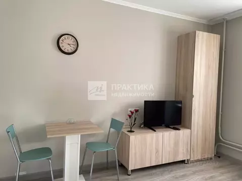 Студия Московская область, Ногинск Богородский городской округ, ул. ...