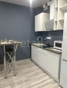 Студия Пермский край, Пермь ул. Агатовая, 32 (22.3 м)