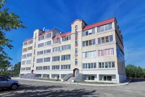 Помещение свободного назначения в Челябинская область, Чебаркульский ...