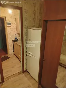 1-комнатная квартира: Липецк, улица Жуковского, 11 (13.5 м)