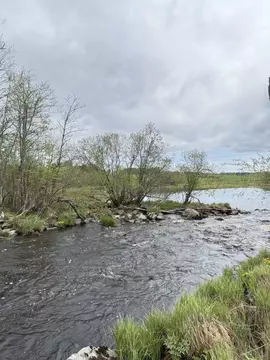 Участок в Карелия, Лахденпохский муниципальный округ, пос. Микли ул. ...