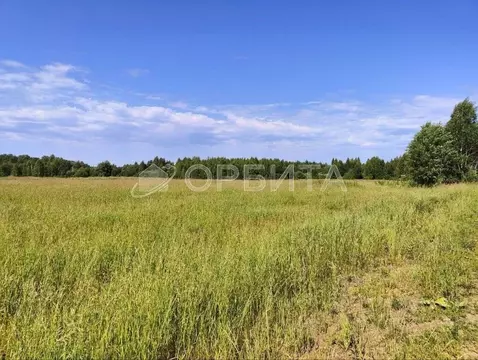 Участок в Тюменская область, Тюменский муниципальный округ, Речник ...