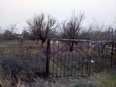 Участок в Волгоградская область, Волгоград бул. Сиреневый (9.9 сот.)