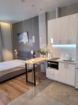 Студия Санкт-Петербург Тележная ул., 32 (25.0 м)