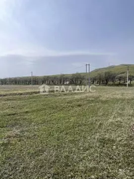 Участок в Приморский край, Уссурийский городской округ, с. Борисовка ...