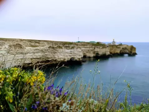 Участок в Крым, Черноморский район, Оленевское с/пос, с. Оленевка ул. ...