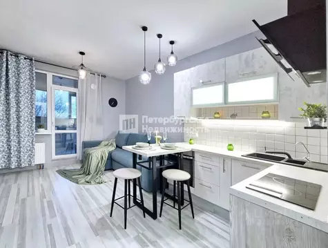 Студия Санкт-Петербург Усть-Славянка тер., ул. Заводская, 17 (25.85 м)