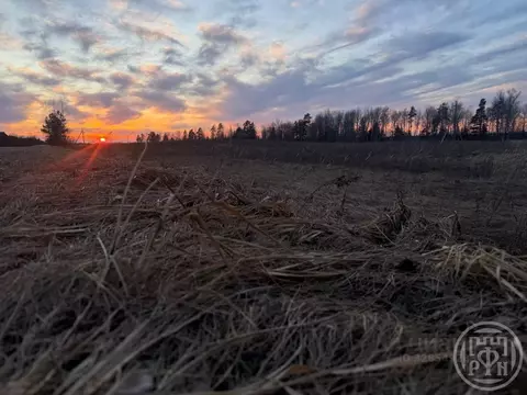 Участок в Псковская область, Новоржев Псковская ул. (1700.0 сот.)
