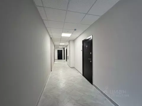 1-к кв. Тамбовская область, Тамбов Свободная ул., 4к4 (32.6 м)