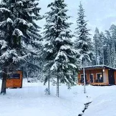 Дом в Ленинградская область, Выборгский район, Приморское городское ...