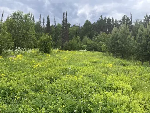 Участок в Челябинская область, Кусинский муниципальный округ, д. ...