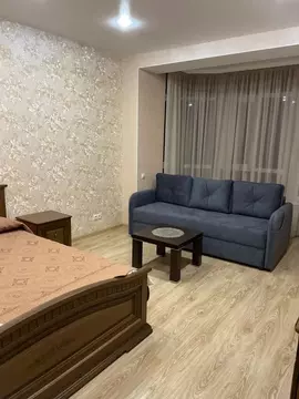 1-к кв. Ставропольский край, Ессентуки Пятигорская ул., 7 (47.0 м)