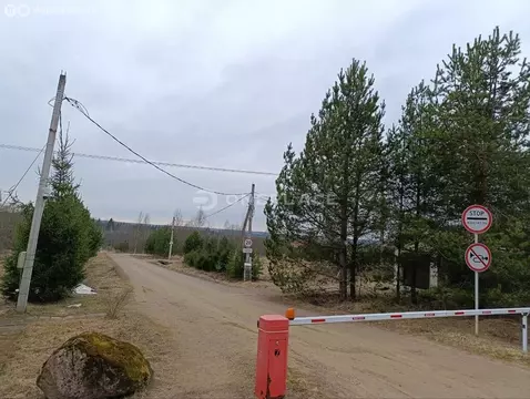 Участок в Выборгский район, Рощинское городское поселение, коттеджный ...