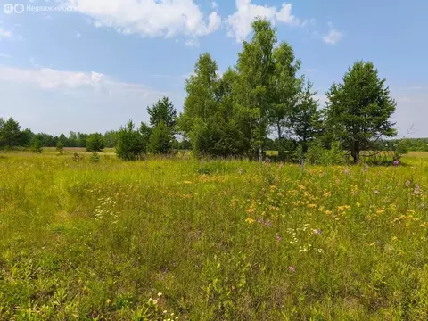 Участок в Московская область, Раменский муниципальный округ, ...