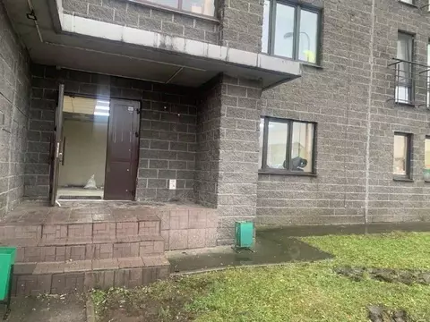 Торговая площадь в Татарстан, Казань ул. Натана Рахлина, 5 (67 м)