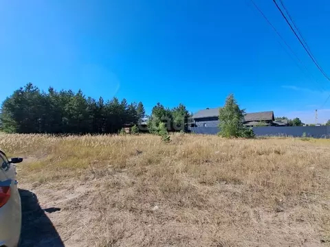 Участок в Воронежская область, Рамонский район, Новоживотинновское ...