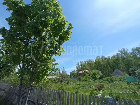 Участок в Курганская область, Кетовский муниципальный округ, Иволга-24 ...