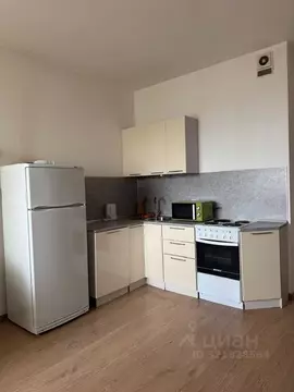 Студия Ленинградская область, Кудрово г. Всеволожский район, Заневское ...