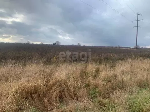 Участок в Костромская область, Костромской район, Шунгенское с/пос, д. ...