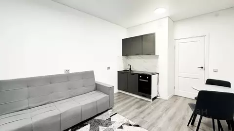 Студия Санкт-Петербург Дальневосточный просп., 19к1 (22.0 м)