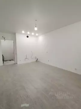 Студия Тульская область, Тула ул. Купцов Гречихиных, 10 (27.5 м)