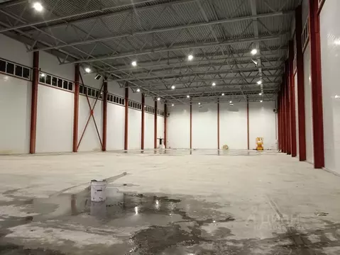 Помещение свободного назначения в Московская область, Домодедово ...