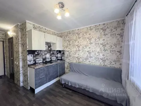 Студия Тюменская область, Тюмень ул. Новоселов, 117 (15.9 м)