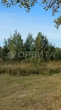 Участок в Тюменская область, Тюменский муниципальный округ, с. Луговое ...