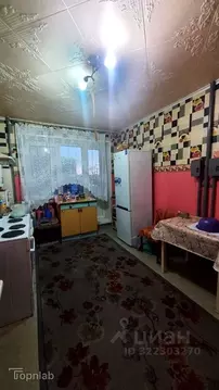 Комната Челябинская область, Озерск Октябрьская ул., 30 (30.2 м)