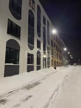 Студия Пермский край, Пермский муниципальный округ, с. Фролы ул. ...