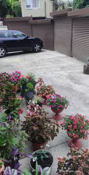 Гараж в Краснодарский край, Сочи Пионерская ул., 56Б (18 м)