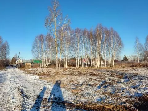 Участок в Тюменская область, Нижнетавдинский муниципальный округ, ...