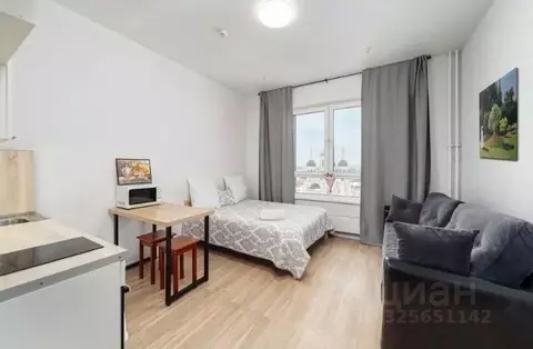 Студия Москва Внуковское поселение, ул. Летчика Ульянина, 3А (30.0 м)