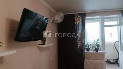 Студия Алтайский край, Бийск Советская ул., 189/1 (26.6 м)