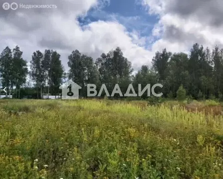 Участок в село Старая Ситня, 2-я Парковая улица, 10 (2528 м)