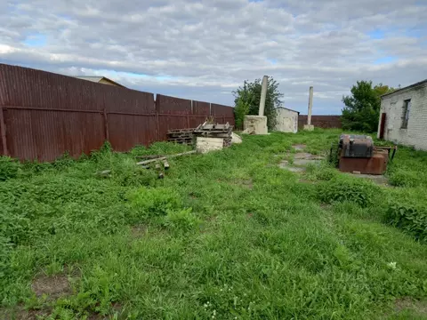 Участок в Курганская область, Курган с. Зайково, Советская ул. (21.0 ...