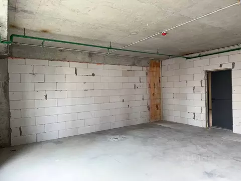 Помещение свободного назначения в Санкт-Петербург ул. Лагоды, 2 (30 м)