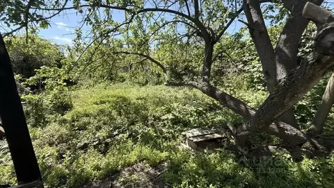 Участок в Ростовская область, Аксай ул. Калинина (5.1 сот.)