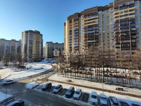 1-к кв. Воронежская область, Воронеж Троицкий кв-л, Олимпийский ...